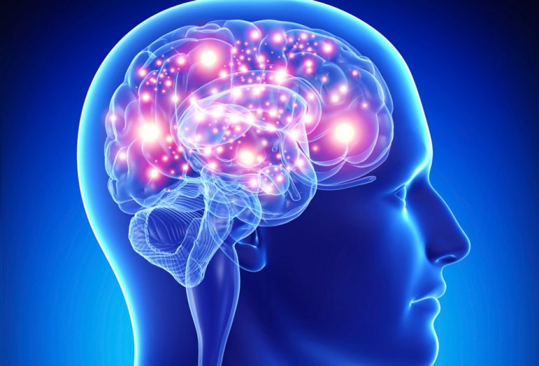 5 Ingredientes ideales para la salud de tu cerebro, según Neurocientífico 